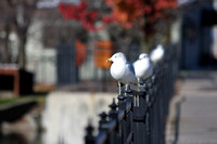 Fall '07