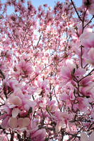 Spring '08