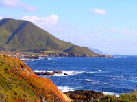 The Color Coast