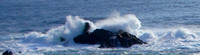 Splash
