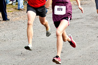 Jingle Bell Run 5k